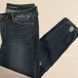 Articles of Society | Women's Distressed Blue Jeans, Size 32.